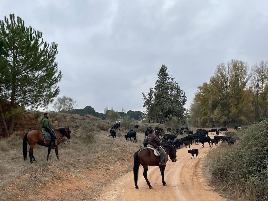 Casa Rural Berta El Picazo ภายนอก รูปภาพ