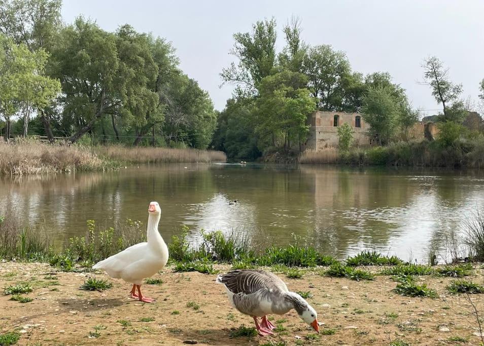 Casa Rural Berta El Picazo ภายนอก รูปภาพ