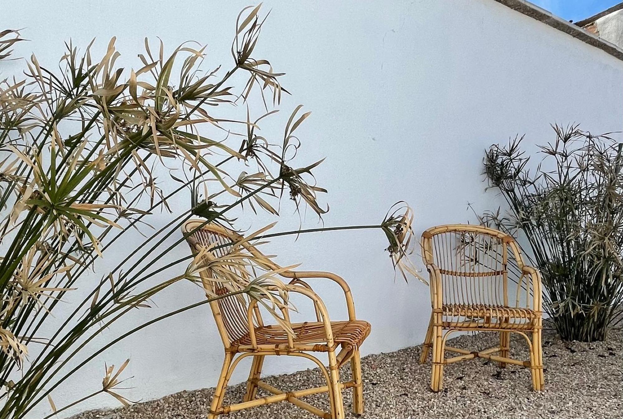Casa Rural Berta El Picazo ภายนอก รูปภาพ